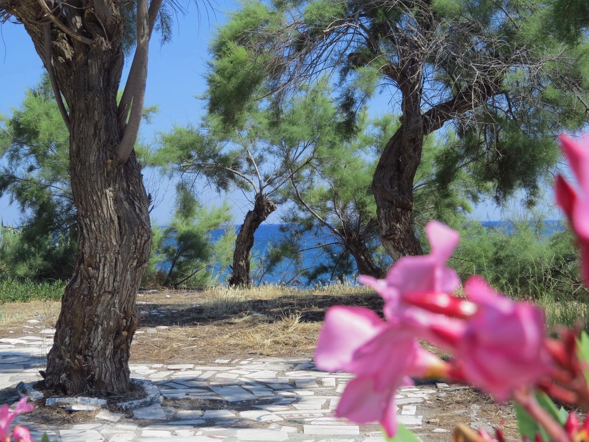 Loukas Beach Rooms キオタリ エクステリア 写真